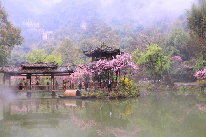 植物大战僵尸1