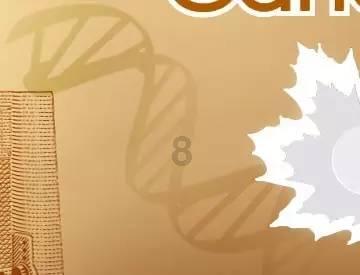 平板电脑下载百度视频可以当电视遥控用吗